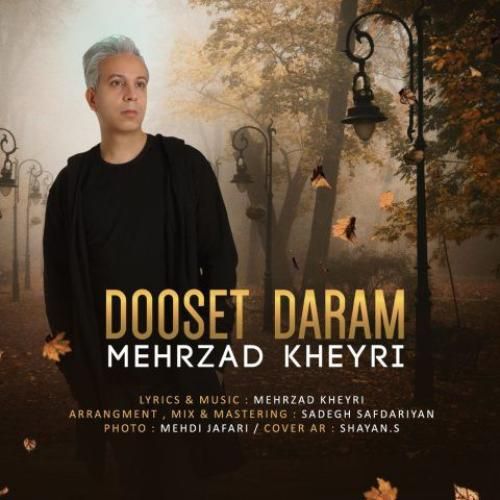 دانلود آهنگ دوست دارم از مهرزاد خیری