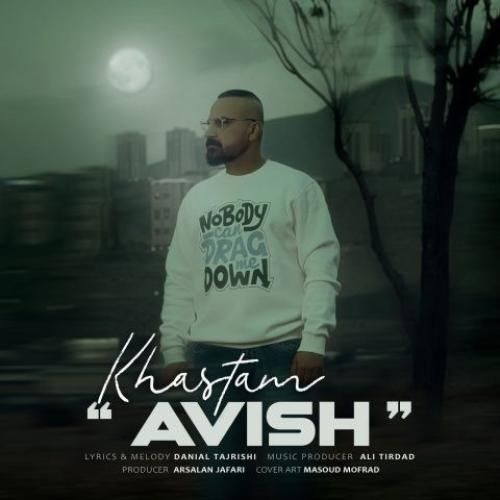 دانلود آهنگ خستم از آویش