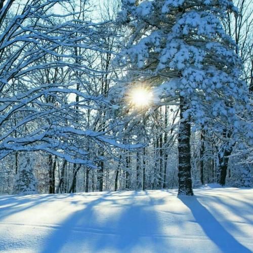 دانلود آهنگ هرزاله گیانه هرزاله بفریک باریوه کس نیه بیماله