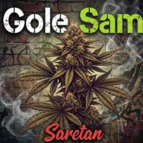 دانلود آهنگ گل سم از آرش سرطان