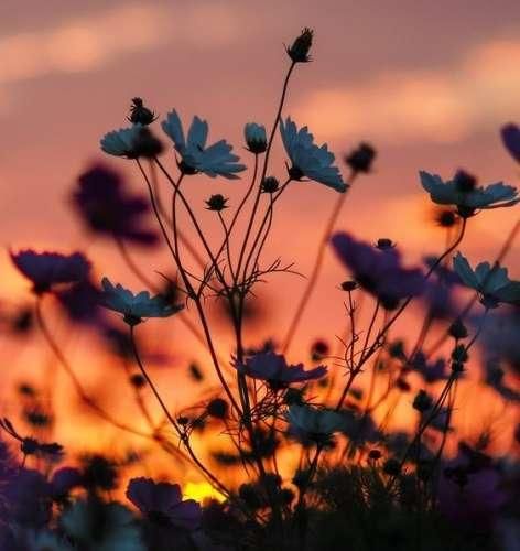 دانلود آهنگ بری میمونم چشم به راهت صبح تا شب