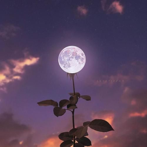 دوتا میندازم تو استخر شالاپ شلوپ دو تا میندازم