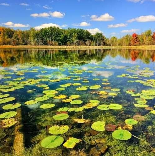 دانلود ریمیکس همه چیزیو تجربه کردم قرص های اعصاب