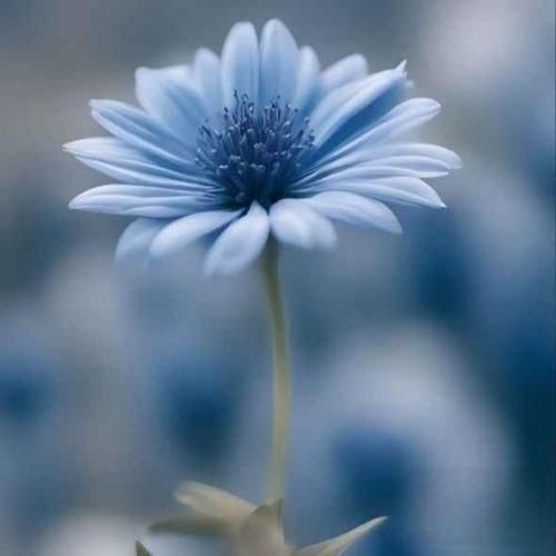 دانلود آهنگ همه رو دور انداختم ولی تو رو نه دور همه خط کشیدم