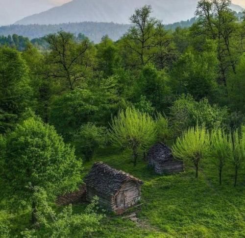 با پای پیاده زدم توی قلب اجتماع نمیدونستم