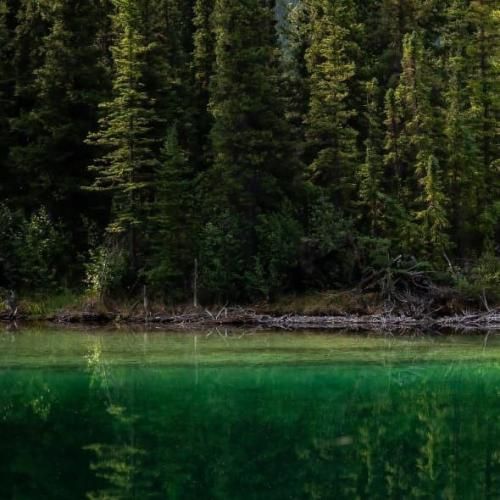 توام منو بزار برو اگه نری میشه جنگ جهانی