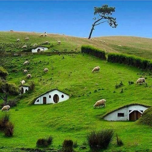  گردن من ننداز اصلا این حال مصدومتو