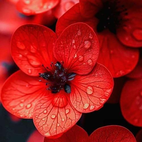 تنها اکسی که من میخام پول اضافیه