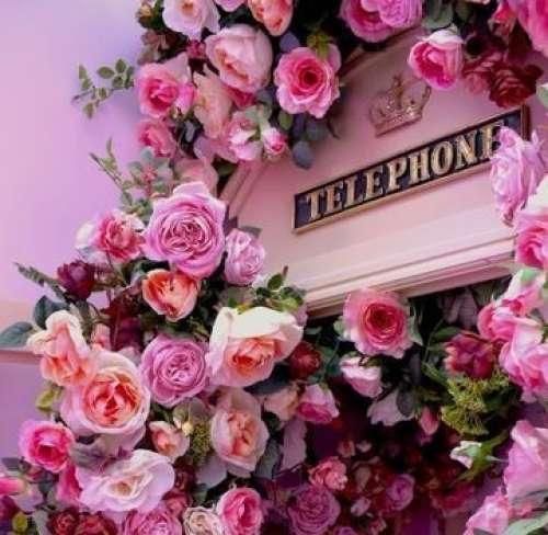 دانلود آهنگ با تو میشه این نصفه کامل همه میگن عشقت