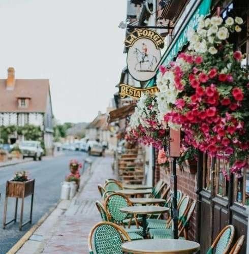  گفتم دوست ندارم بدون دروغ بهت گفتم