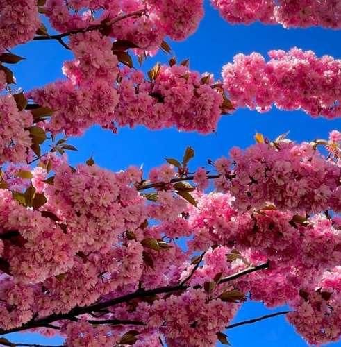 دانلود ریمیکس چقد عوض شدی دیگه مثل قبلنا نمیخندی