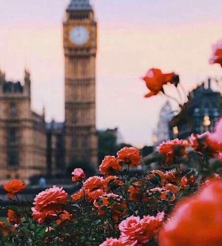 دانلود ریمیکس میرم یادت باشه گل گلدون برام گذاشتی یه دل