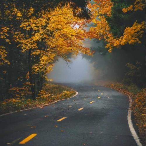 دانلود آهنگ یه جایی دیدمت که موهات بور بود ولی چشم ابرو مشکی