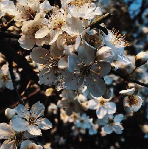 دانلود آهنگ باید خوب باشی بام باهات بودم بد