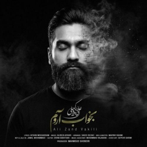 دانلود آهنگ بخواب آروم از علی زند وکیلی