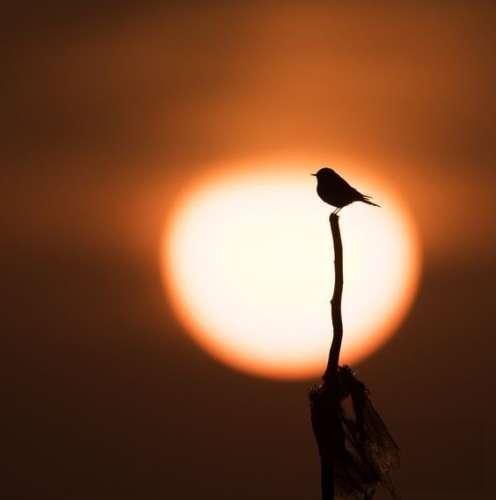 دانلود آهنگ شبا بیدارم و این فکرا نمیذارن ببره خوابم هنوز