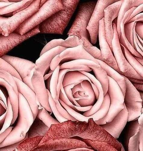  چی بگم دیگه خوش نی حالم با خودم حرف میزنم