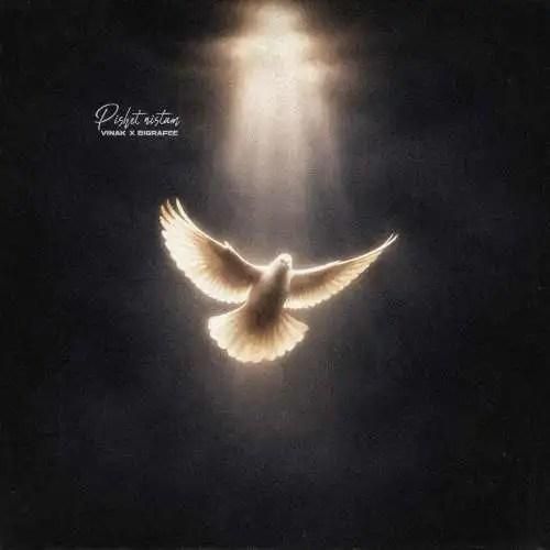 ویناک پیشت نیستم