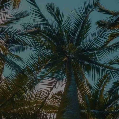  دو تا جلو دوتا عقب پلی آغاسی سنگی از معدن درد