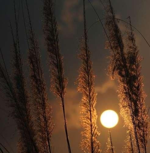 دانلود ریمیکس چی سر این آدم اومده چی داره میشه