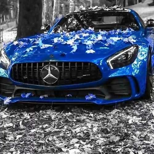 دانلود آهنگ قلب منی اگه صد بارم بچرخه زمین سهم منی