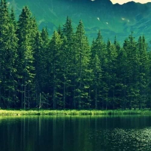 منو تو بینمون آرومه ولی این دشمنا پشتمون