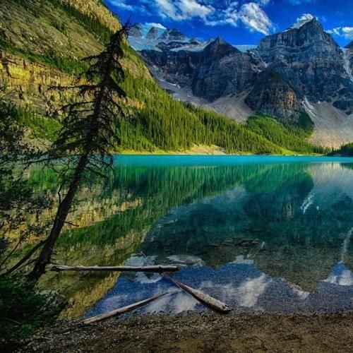 دلبر دنیام تویی همتا نداری آرش خوشنواز