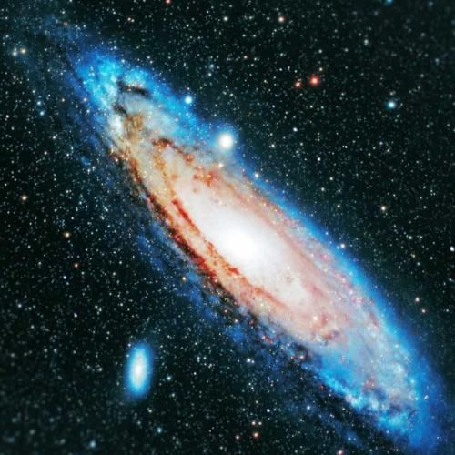  خداحافظ بال پروانه موی بی شانه