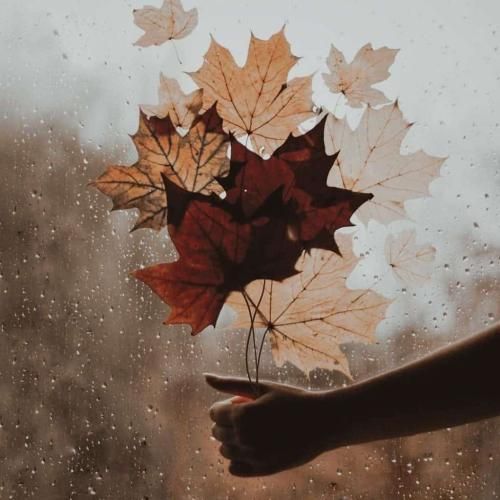 دانلود آهنگ ببین سیس حاجی رخ سردارو