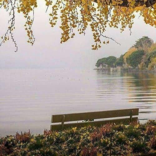  من ازت ناراحتم رفتن برای تو کاری نداشت