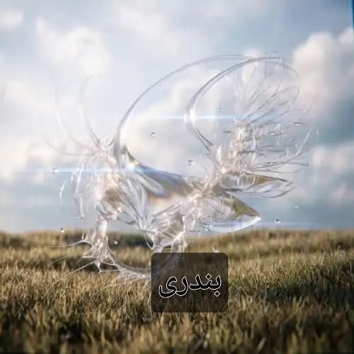 فرزاد قدیمی بندری