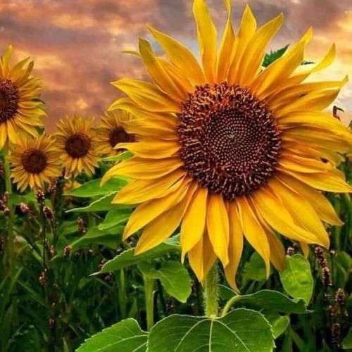  هی کردم خودمو سرزنش کاره کس دیگه