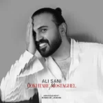 دانلود آهنگ جدید دختر مستقل از علی ثانی